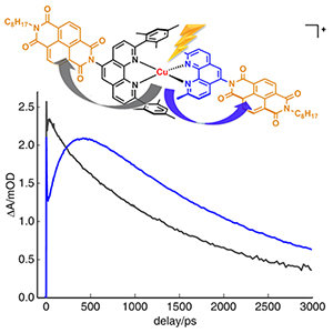 Graphical abstract depicting charge transfer pathways and kinetics in copper bis(phenanthroline) dye