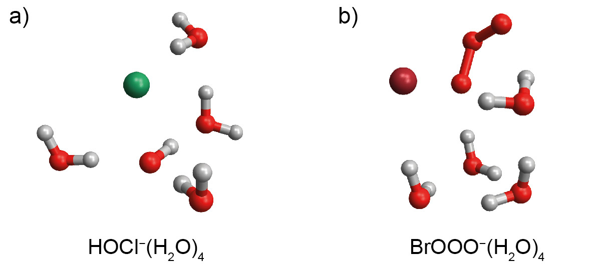 Figure 5. Ab initio structures of halide complexes with atmospheric oxidants in water clusters; both the hemi-bonded HOCl− species (a) and the BrOOO− intermediate (b) are stabilized by the surrounding hydrogen-bonded water network. For more information on these systems, see https://doi.org/10.1021/jp2063386 and https://doi.org/10.1038/s41467-017-00823-x  