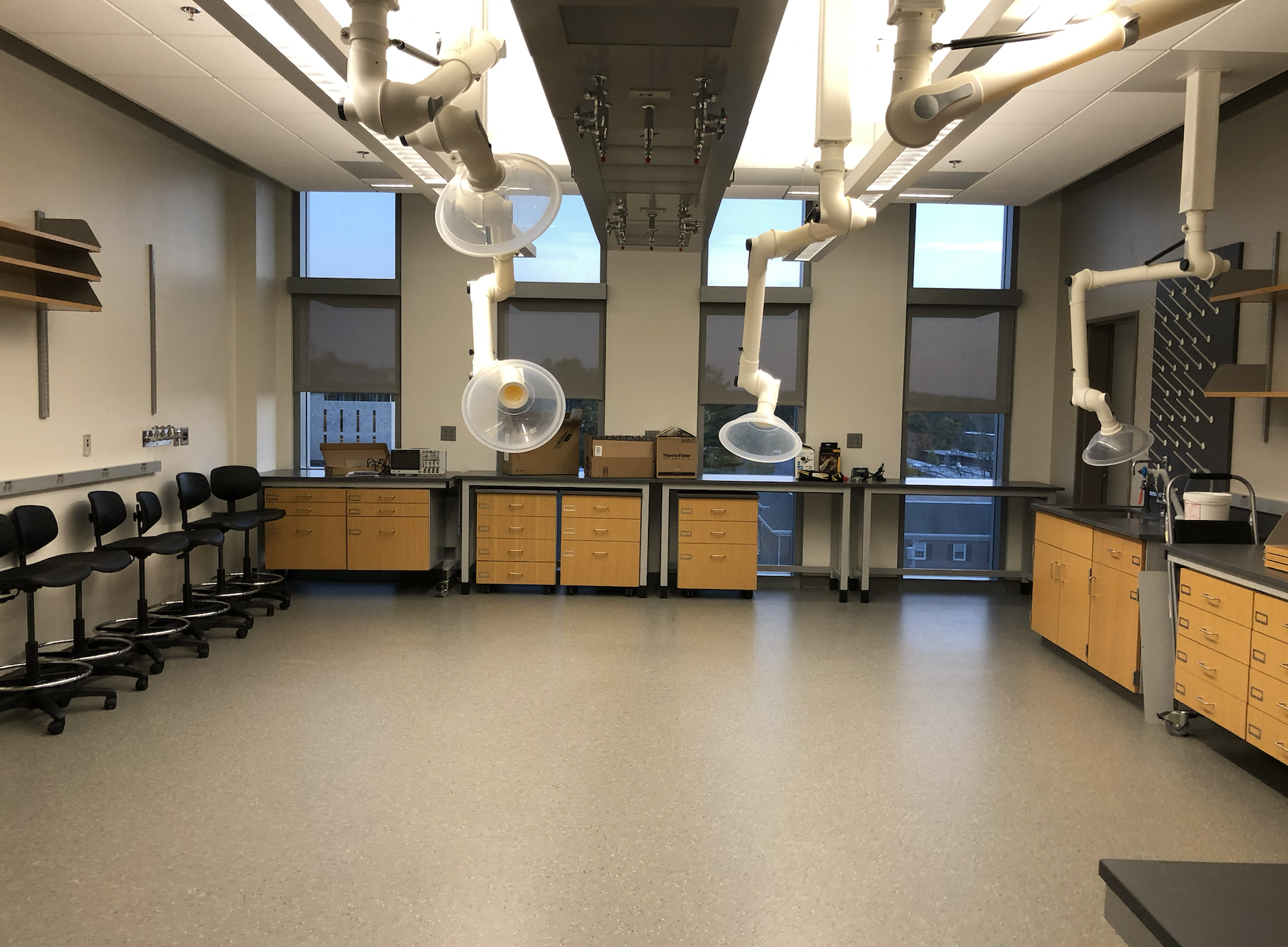Mass Spectrometry and Ion Spectroscopy Lab, Fall 2020