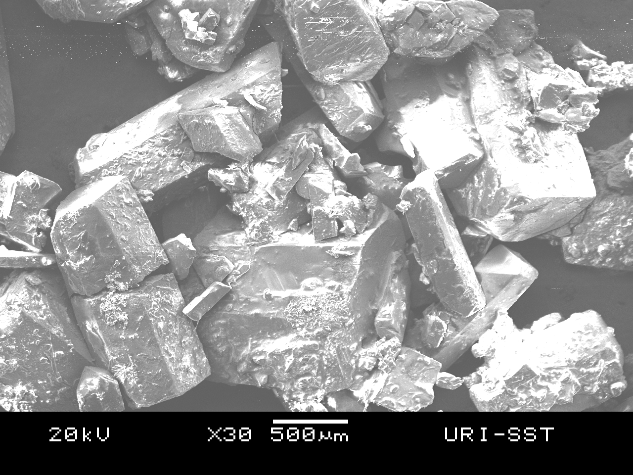 SHN alpha SEM image