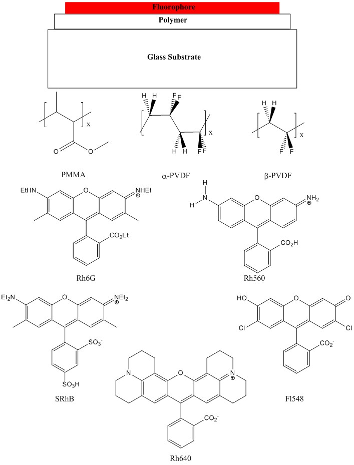 Figure 1. The components of the sensor (top) are a mechanical substrate, a polymer layer, and a fluorophore. Polymers used are PMMA and PVDF. Fluorophores are the xanthene dyes Rh6G (rhodamine 6G), Rh560 (rhodamine 560), SRhB (sulforhodamine B), Rh640 (rhodamine 640), and Fl548 (fluoroscein 548).